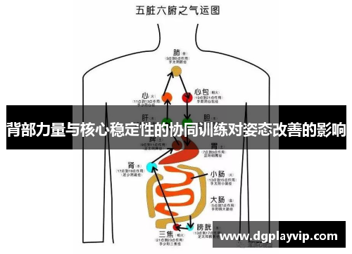 背部力量与核心稳定性的协同训练对姿态改善的影响